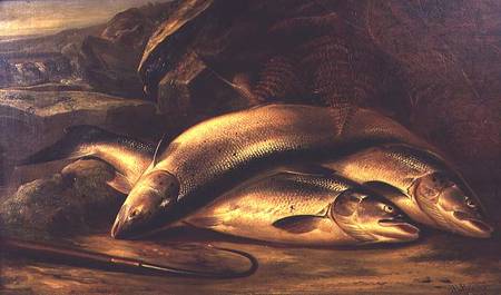 Still Life of Salmon a Henry Leonidas Rolfe