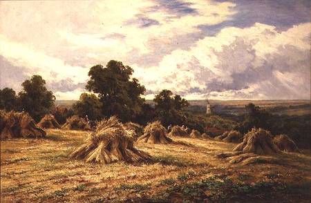 Harvested Field a Henry Parker