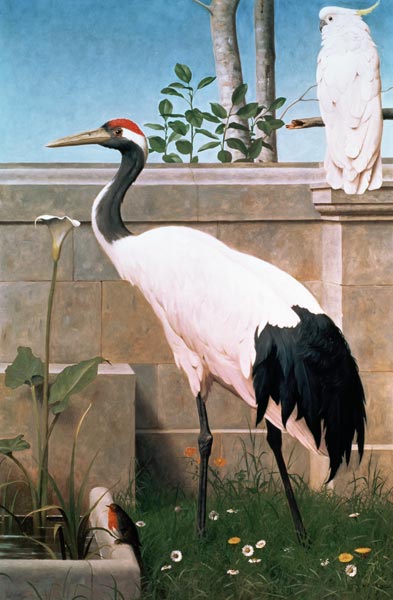 Manchurian Crane, Cockatoo and Robin a Henry Stacey Marks
