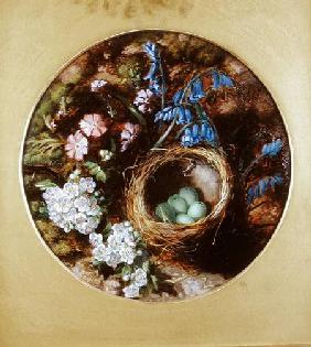 A Still Life with Bird's Nest, Blossom and Bluebells
