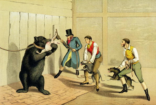 'Bear Baiting', pub. by Thomas McLean, 1820, (sporting print) a Henry Thomas Alken