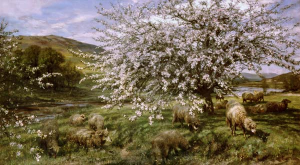 Orchard with sheep in spring (in Wales) a Henry William Banks Davis