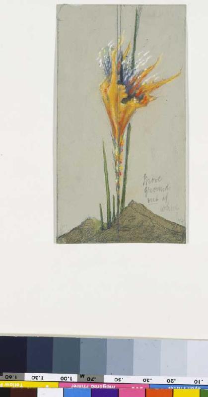 Fire flower II. (More Ground) a Hermann Obrist