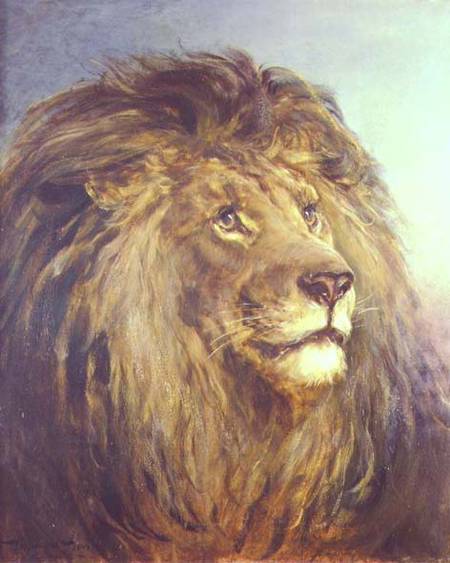 A Lion's Head a Heywood Hardy