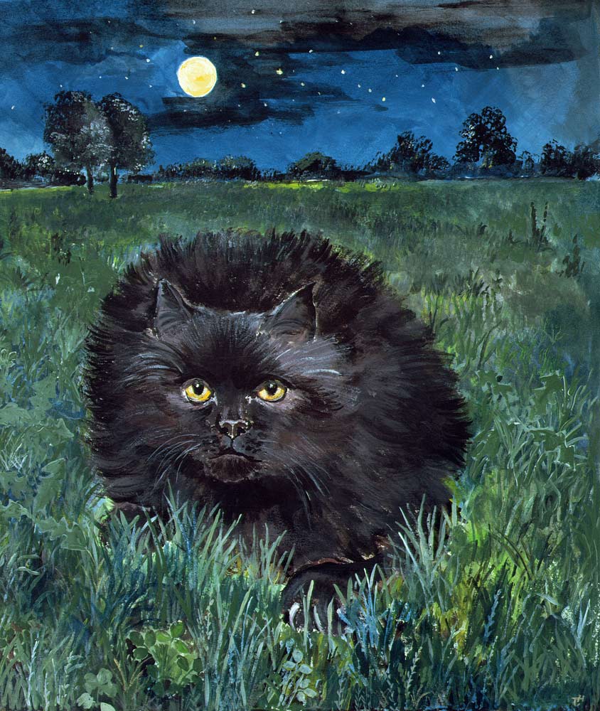 The Cat and the Moon (acrylic on paper)  a Hilary  Jones