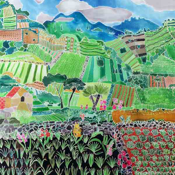 Cabbages and Lilies, Solola Region, Guatemala, 1993 (coloured inks on silk)  a Hilary  Simon