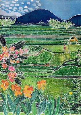 Lovina Ricefields with Lilies and Frangipani, Bali, 1996 (coloured inks on silk) 