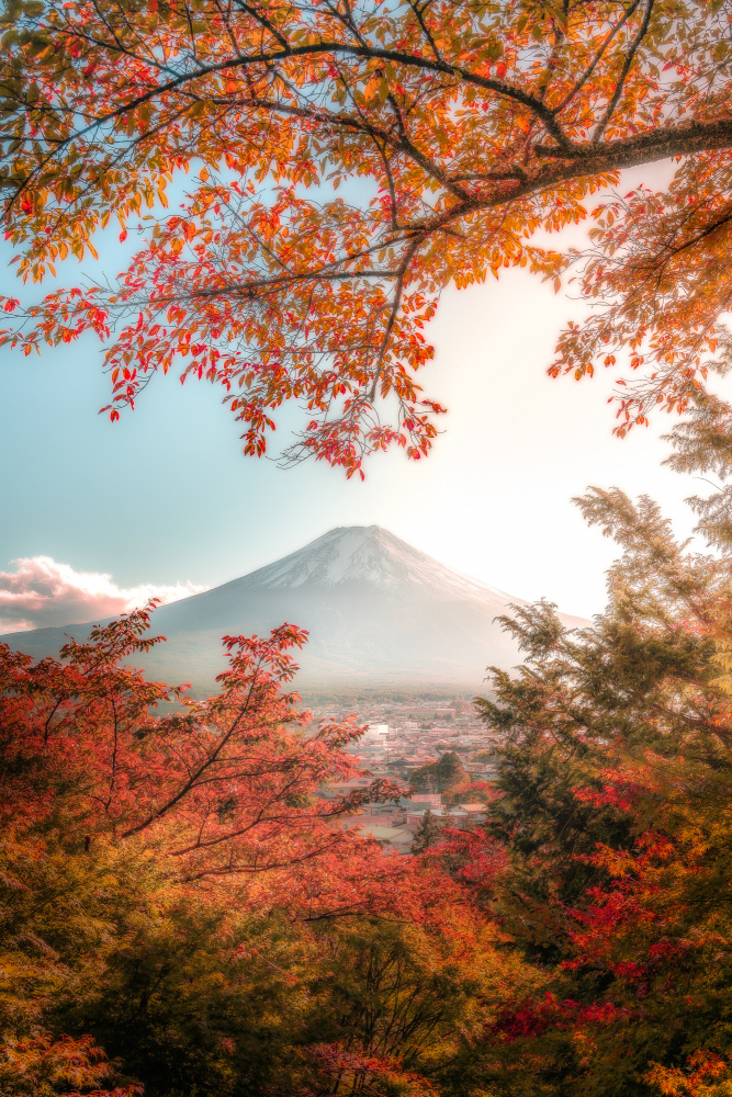 Beautiful Autumn in Japan a まちゅばら/Hiroki Matsubara