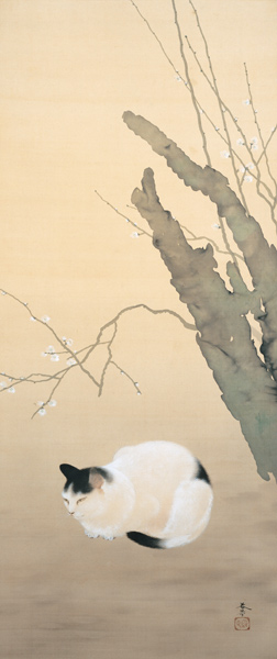 Cat and Plum Blossoms (Katze und Pflaumenblüten a Hishida Shunso