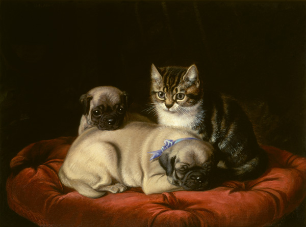 Zwei Möpse und ein Kätzchen a Horatio Henry Couldery