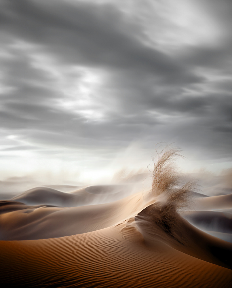 Desert Waves a Hosam.Karara