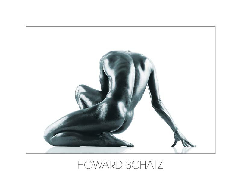 Ästhetik a Howard Schatz