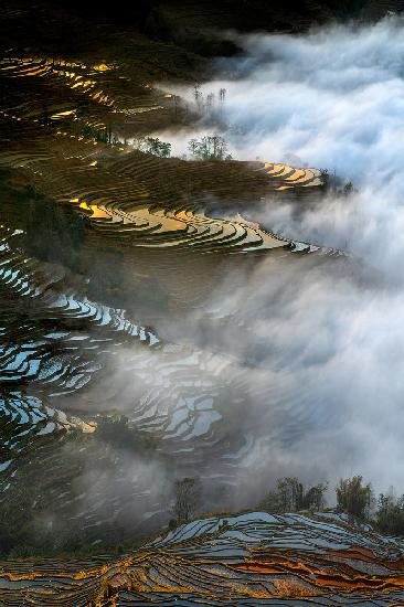 Colorful rice terraces