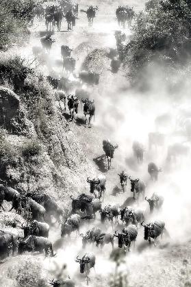 Great Migration