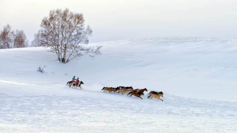 Racing on snow a Hua Zhu