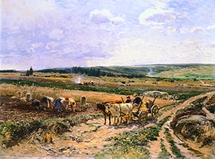 Potato crop in a wide landscape. a Hugo Mühlig