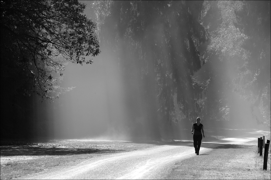 Autumn-morningwalk a Huib Limberg