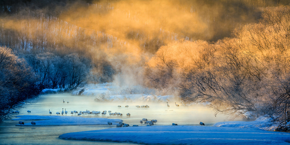 In the morning glow a Hung Tsui