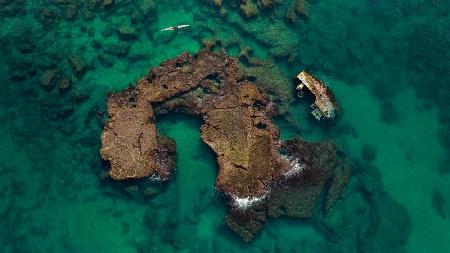 Kayak wreck exploration