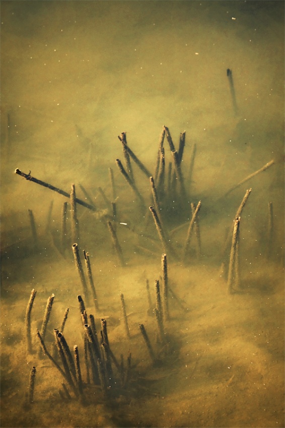 underwater a Ileana Bosogea-Tudor