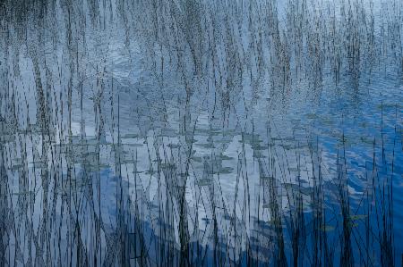 Abstract riet