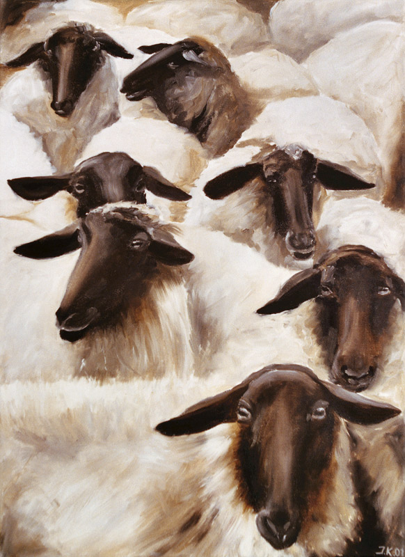 Sheep a Ingeborg Kuhn