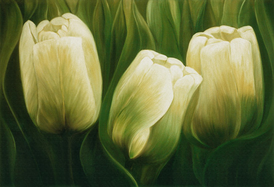 Tulipani a Ingeborg Kuhn
