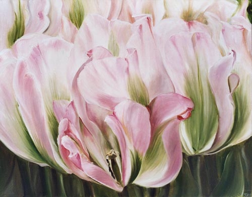 Tulips a Ingeborg Kuhn