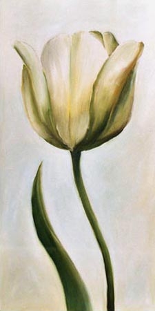 White tulip 1 a Ingeborg Kuhn