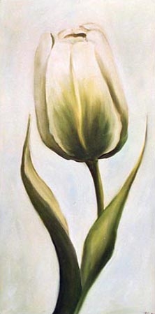 White tulip 2 a Ingeborg Kuhn