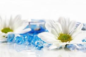 Wellness and aromatherapy