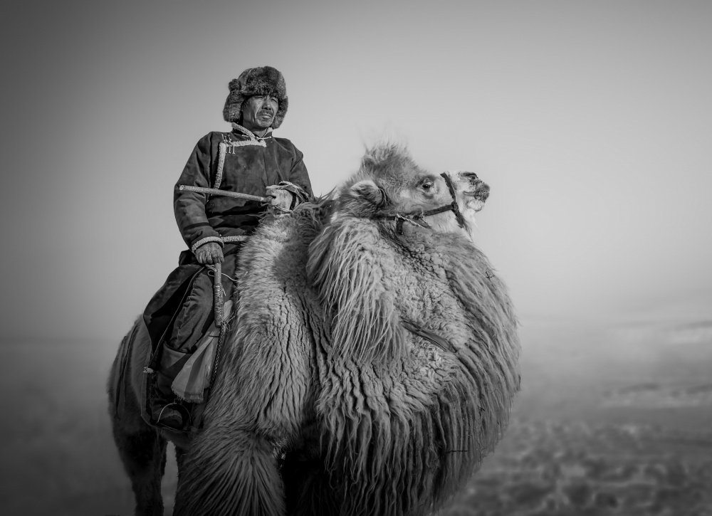 Farmer and His Camel a Irene Wu