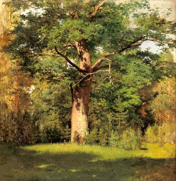 The oak a Isaak Iljitsch Lewitan