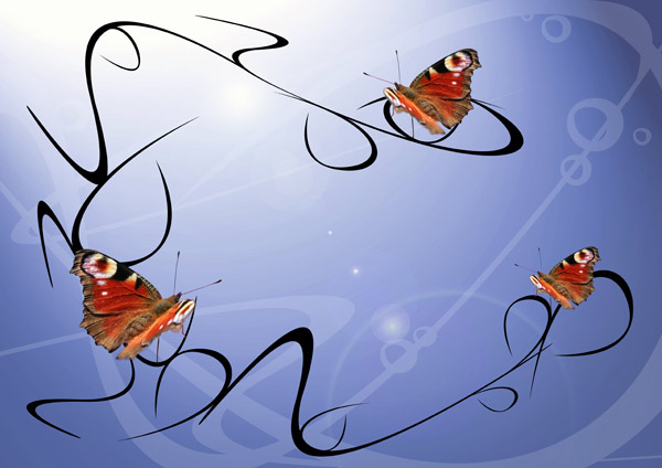Butterfly a Isabella Lerche