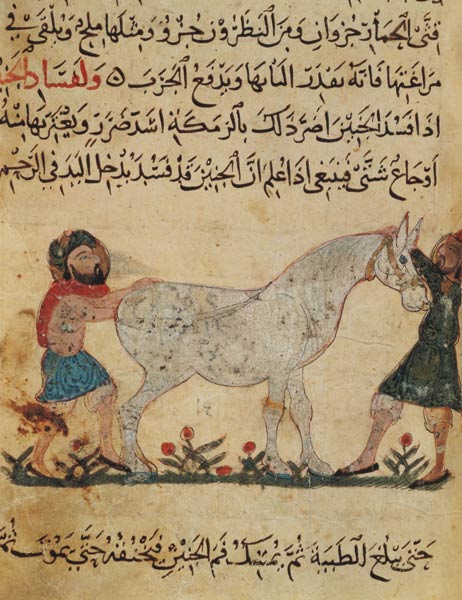 A veterinarian helping a mare to give birth, illustration from the 'Book of Farriery' by Ahmed ibn a a Scuola Islamica