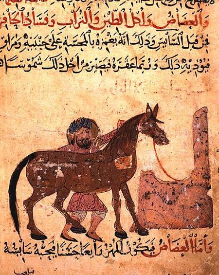 Caring for the horse, illustration from the 'Book of Farriery' by Ahmed ibn al-Husayn ibn al-Ahnaf a Scuola Islamica