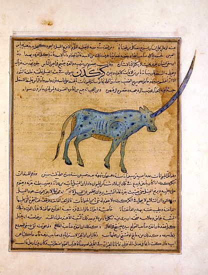 Ms E-7 fol.191b Rhinoceros, illustration from ''The Wonders of the Creation and the Curiosities of E a Scuola Islamica