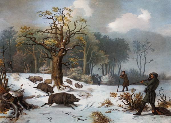 Wintry wild boar hunting. a István Nagy