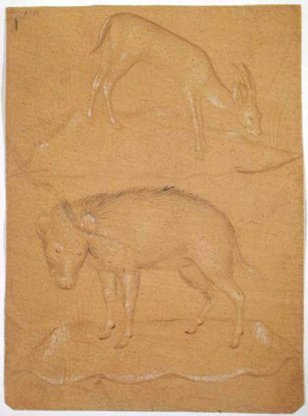 Study of a goat and a boar a Scuola pittorica italiana