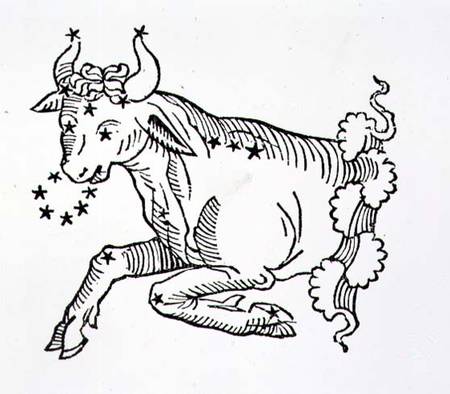 Taurus (the Bull) an illustration from the 'Poeticon Astronomicon' by C.J. Hyginus, Venice a Scuola pittorica italiana