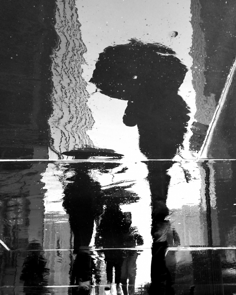 City Reflections a Ivan Lesica
