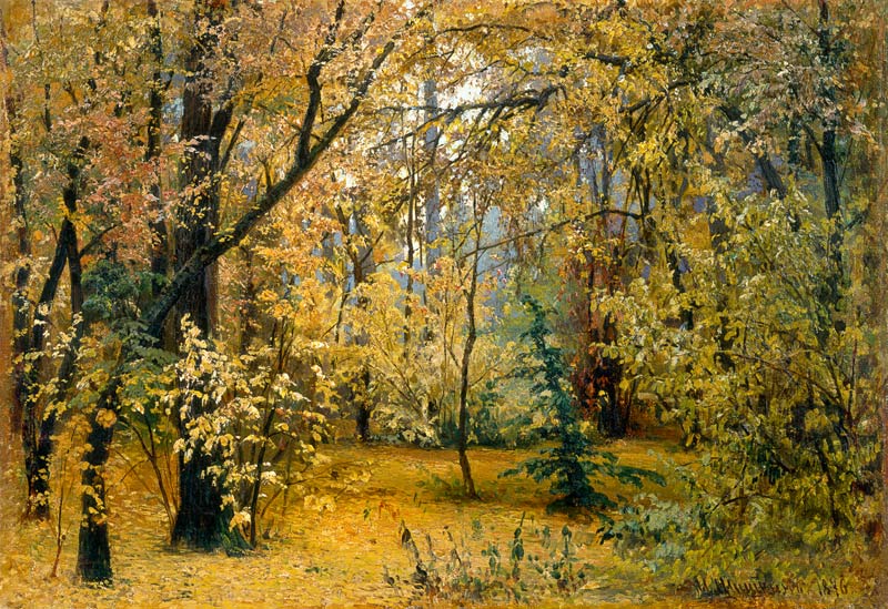 Fall woods a Iwan Iwanowitsch Schischkin
