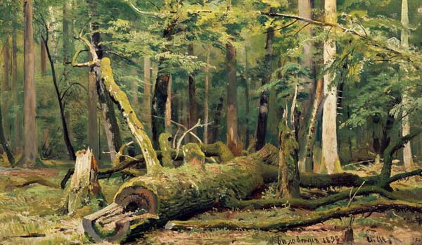 I.I.Zhishkin / Felled Oak / Ptg./ 1892 a Iwan Iwanowitsch Schischkin