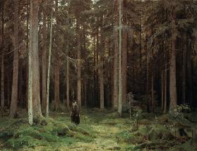 Shishkin / Countess Mordvinova s Forest