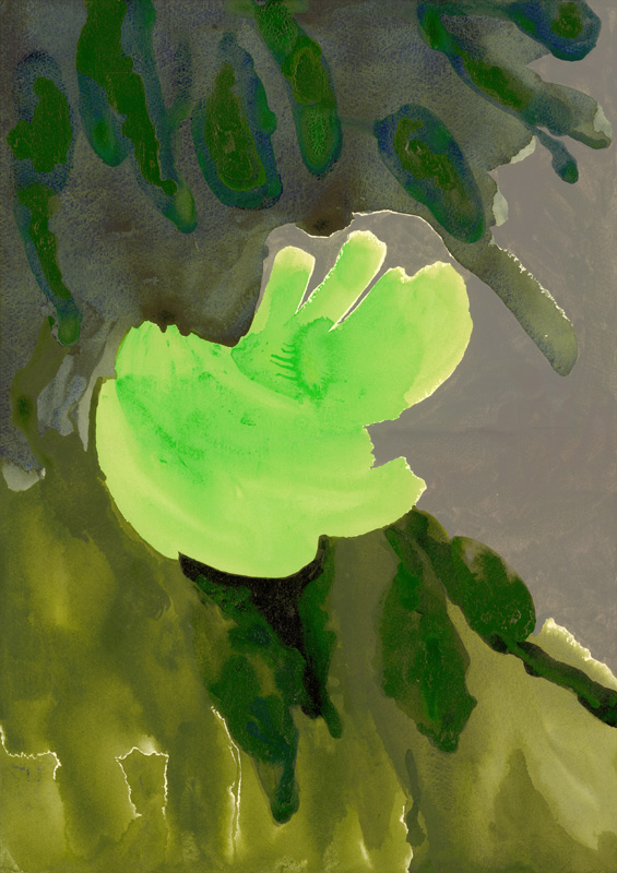 Kensington Gardens Series: Leaf Cascade a Izabella  Godlewska de Aranda