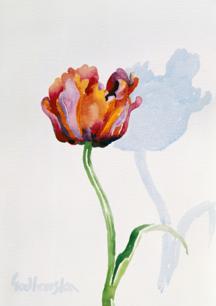 Tulip a Izabella  Godlewska de Aranda