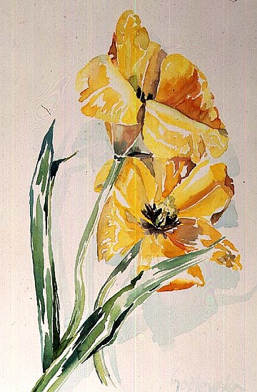 No.6 Yellow Tulip (w/c)  a Izabella  Godlewska de Aranda