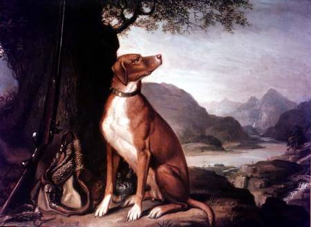 G. M. Johnston's favourite gun dog in a landscape a J. Francis Sartorius