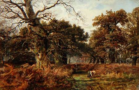 Sherwood Forest a J. Hudson Willis