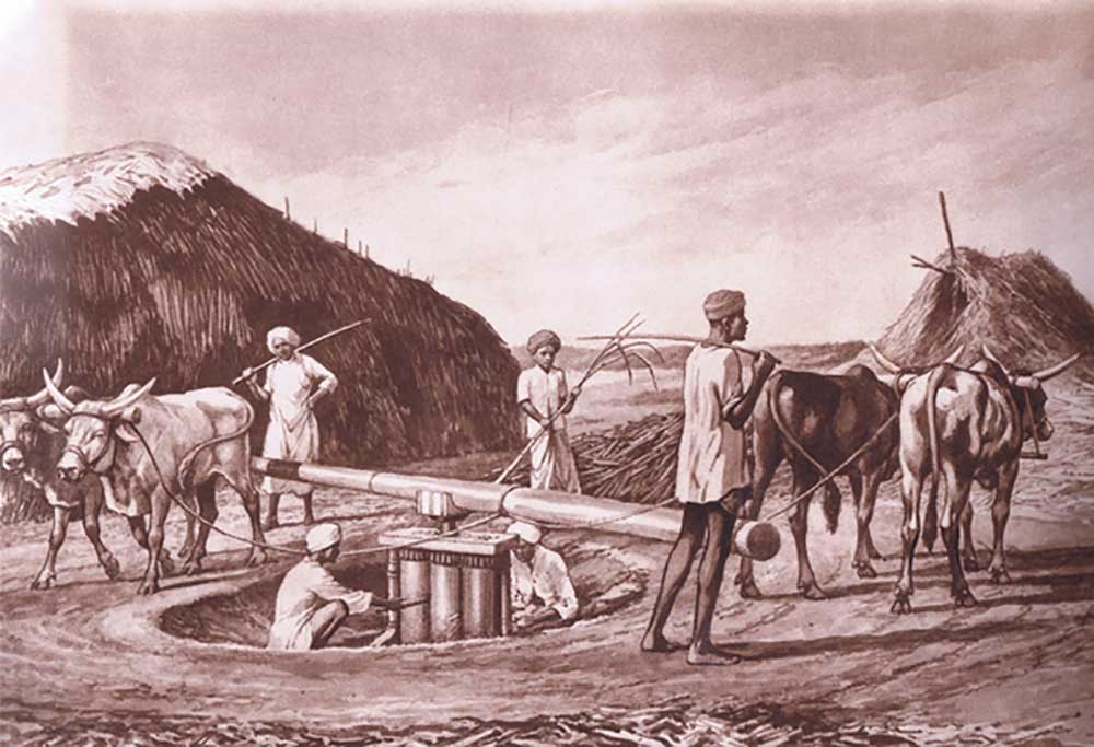 Native method of crushing sugar cane in India, from MacMillan school posters, c.1950-60s a J. Macfarlane
